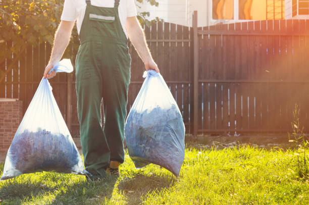 Attic Cleanout Services in Grants, NM