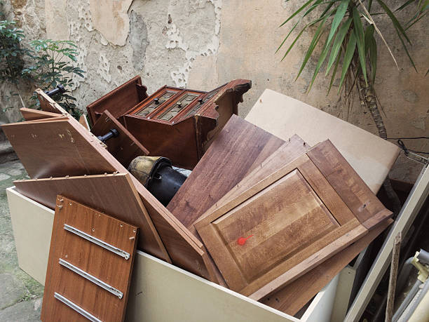 Yard Cleanup Services in Grants, NM